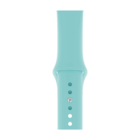 Akıllı Saat Silikon Kordon Cam Göbeği - 42/44 mm